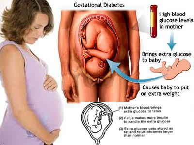 беременность 26 недель вес ребенка