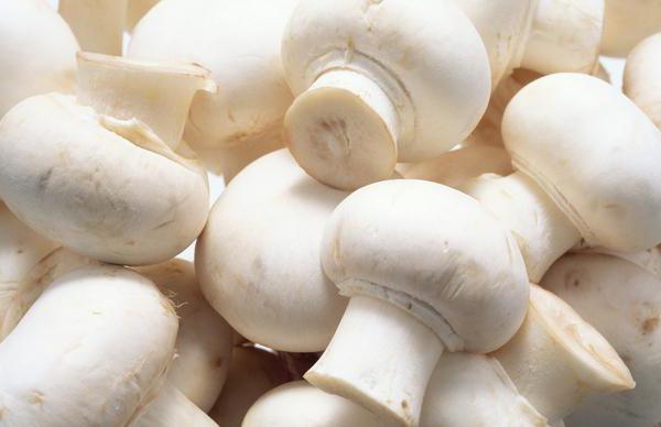 Можно ли кушать грибы кормящей маме
