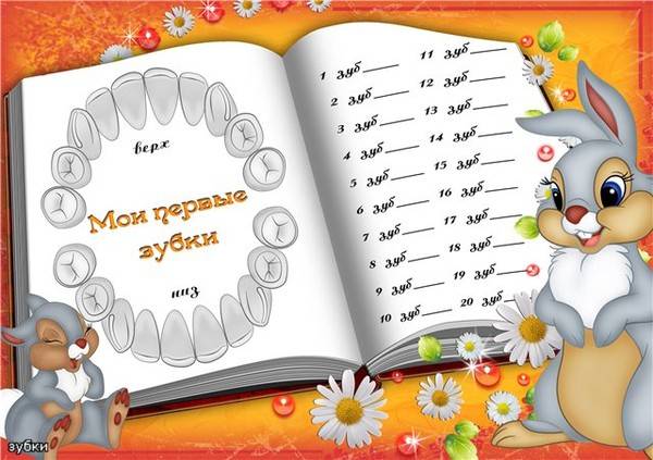 kalendarik prorezyvaniya zubov