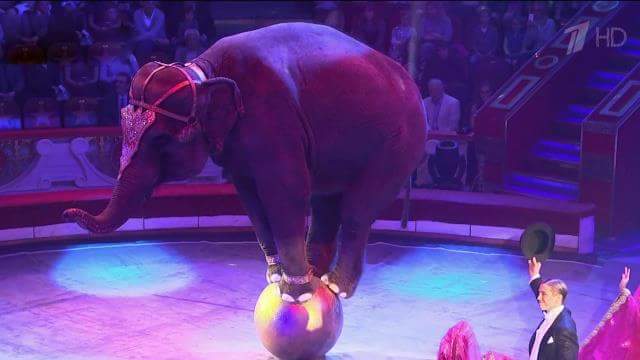 «Карнавал слонов»: многотонное изящество